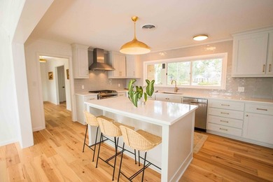 Quiet lakefront living with style: This midcentury modern ranch - photo 43