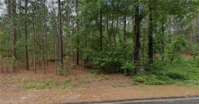 Lake Lot For Sale in Wagram, North Carolina