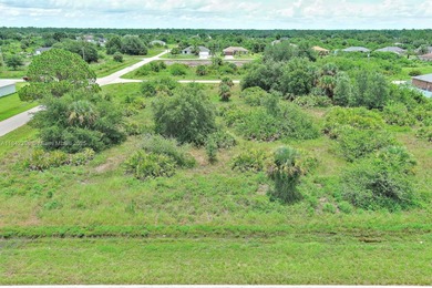 Lehigh Acres Area Lot For Sale in Lehigh Acres Florida