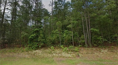 Lake Lot For Sale in Wagram, North Carolina