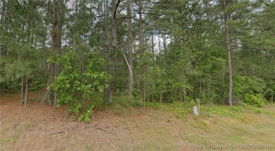 Lake Lot For Sale in Wagram, North Carolina