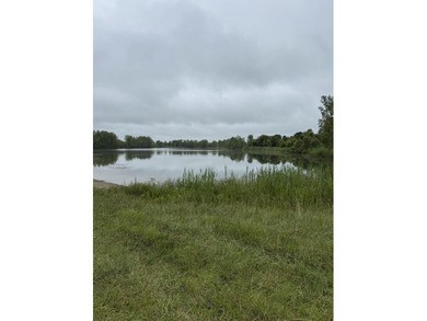 (private lake, pond, creek) Acreage For Sale in Potterville Michigan