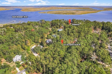 South Newport River - McIntosh County Lot For Sale in Townsend Georgia