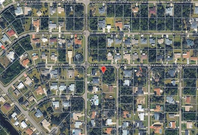 Port Charlotte Waterway Area Lot Sale Pending in Port Charlotte Florida