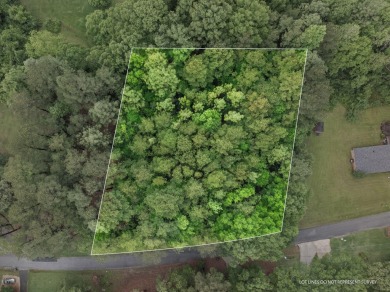 Lake Lot For Sale in Purvis, Mississippi