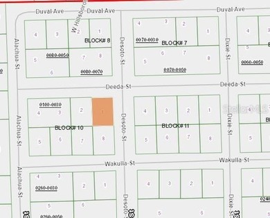 Georges Lake Lot For Sale in Florahome Florida