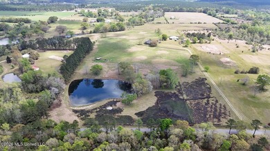 **Dream Horse & Homesteader Paradise - 20 Acres in Lucedale, MS! - photo 4