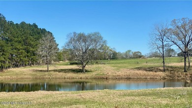 **Dream Horse & Homesteader Paradise - 20 Acres in Lucedale, MS! - photo 6