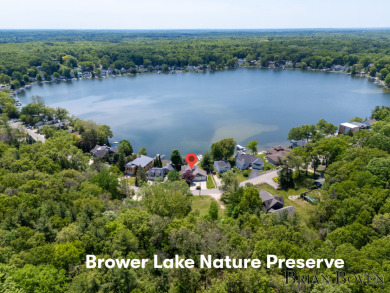 Pristine Frontage on Big Brower Lake - photo 22