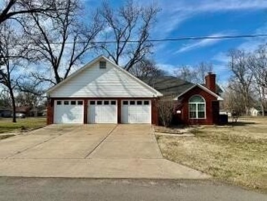Lake Home For Sale in Dardanelle, Arkansas