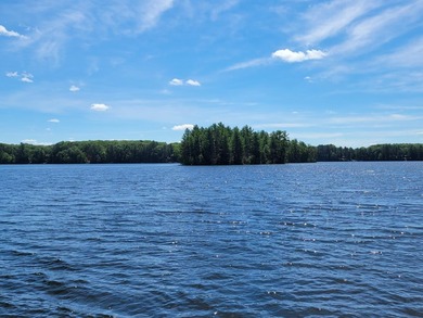 Pinestone Crossing sits on 26 shared wooded acres with over 700' - photo 15