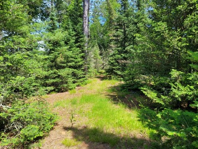 Pinestone Crossing sits on 26 shared wooded acres with over 700' - photo 20