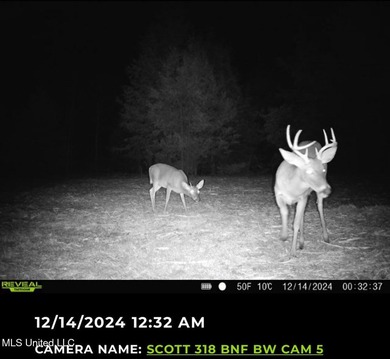 +/- 129 private acres nestled amongst nearly 180,000 acres of - photo 2