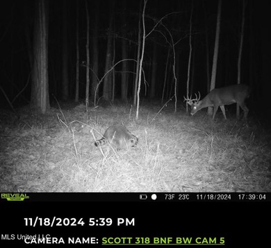 +/- 129 private acres nestled amongst nearly 180,000 acres of - photo 3