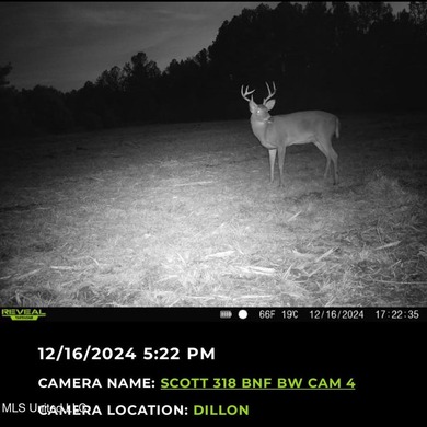 +/- 129 private acres nestled amongst nearly 180,000 acres of - photo 4