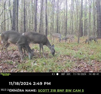 +/- 129 private acres nestled amongst nearly 180,000 acres of - photo 6