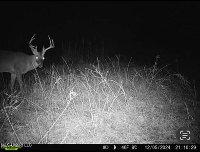 +/- 129 private acres nestled amongst nearly 180,000 acres of - photo 9