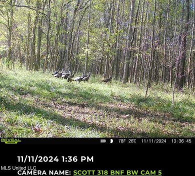 +/- 129 private acres nestled amongst nearly 180,000 acres of - photo 10