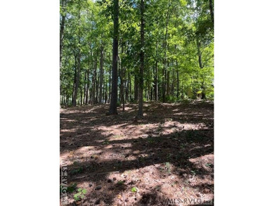 What are you waiting for? Here's a waterfront lot with an almost - photo 4