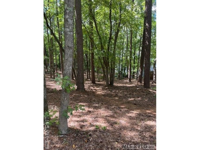 What are you waiting for? Here's a waterfront lot with an almost - photo 5