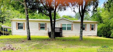 Ellison Creek Reservoir Home For Sale in Lone Star Texas