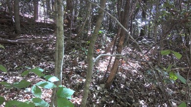 Tuckaseegee River Lot For Sale in Whittier North Carolina