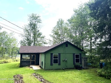 Lake Home For Sale in Honesdale, Pennsylvania