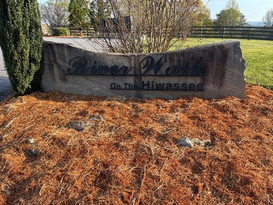 Level River Front lot on the Hiwassee River. Wide section of the - photo 16