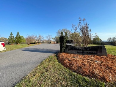 Level River Front lot on the Hiwassee River. Wide section of the - photo 17