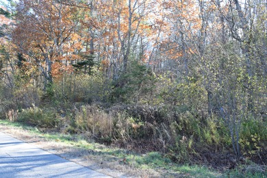 Pleasant Pond / Cobbosseecontee Stream Lot For Sale in West Gardiner Maine