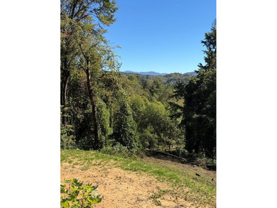 Fontana Lake Lot For Sale in Bryson City North Carolina