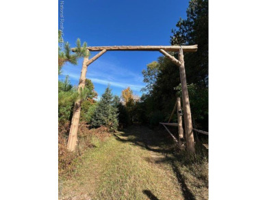 Lake Acreage Sale Pending in Tustin, Michigan