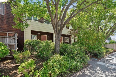 Rarely available Berkeley townhome! Built with a thoughtful - photo 2