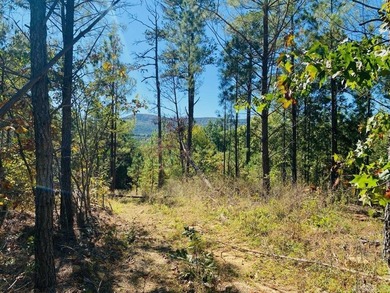 Lake Acreage For Sale in Mena, Arkansas