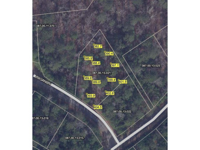 Strom Thurmond / Clarks Hill Lake Lot For Sale in Mccormick South Carolina