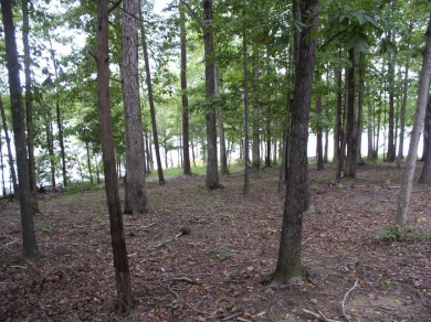 Kerr Lake waterfront lot - located in the prestigious Somerset - Lake Lot For Sale in Henderson, North Carolina