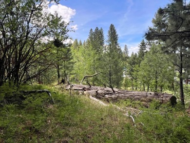 Lake Lot For Sale in Cascade, Idaho