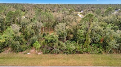 Port Charlotte Waterway Area Lot For Sale in Port Charlotte Florida