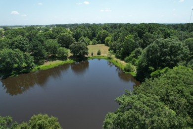 MARTIN'S LAKE! - Lake Lot For Sale in Grapeland, Texas