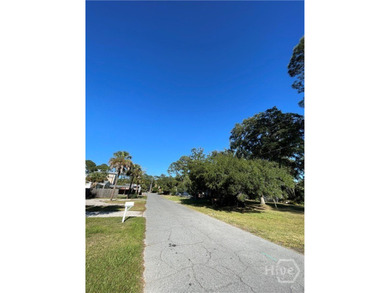 Rare commercial-zoned lot on Tybee Island! This 0.28-acre (12 - photo 3