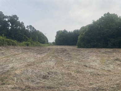 Get your lot bordering the Southfork of the Ouachita River! - photo 14
