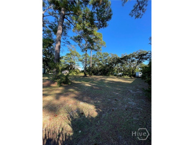 Rare commercial-zoned lot on Tybee Island! This 0.28-acre (12 - photo 4
