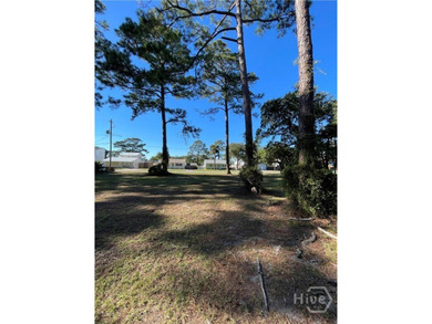 Rare commercial-zoned lot on Tybee Island! This 0.28-acre (12 - photo 6