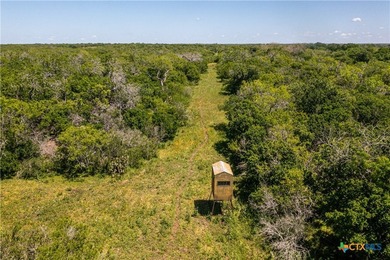 The Runge River Ranch is one of the best live water ranches in - photo 16