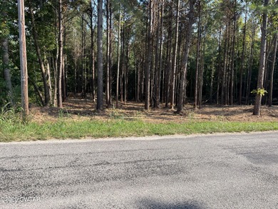 Lake Acreage For Sale in Lexington, Tennessee