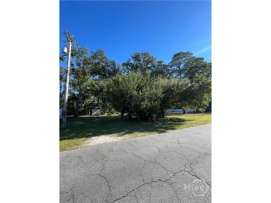 TWO Marsh Front vacant lots! Rare commercial-zoned lot on Tybee - photo 1