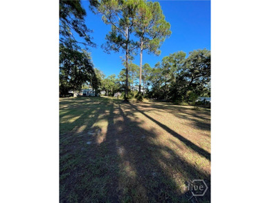 TWO Marsh Front vacant lots! Rare commercial-zoned lot on Tybee - photo 6