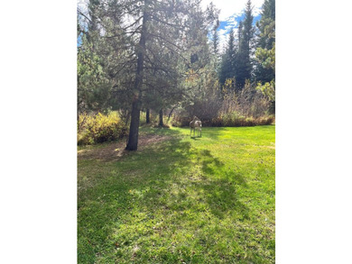Your own Mountain Retreat with a peaceful, campground-like - photo 46