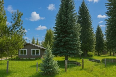 Your own Mountain Retreat with a peaceful, campground-like - photo 49