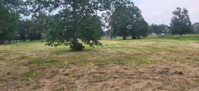Lake Lot For Sale in Yantis, Texas